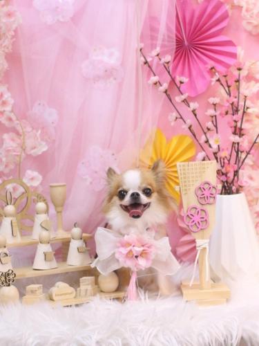 20250325プリュ―くん